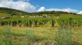 Cette expérimentation autour de la rémunération d'agriculteurs pourrait bien aboutir à une des mesures de la politique agricole de l'Etat.