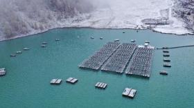 poralu parc photovoltaique flottant - bref eco