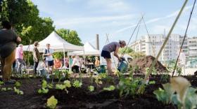 "La Ferme des Artisans", un potager géant au cœur de Villeurbanne accompagné par Alter'Incub Auvergne Rhône-Alpes.