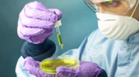 Genève : des conférences communes pour mettre la recherche au service de la santé