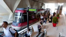 Une délégation colombienne dans le Rhônexpress