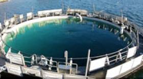 Le Groupe Serge Ferrari développe une solution pour l'aquaculture