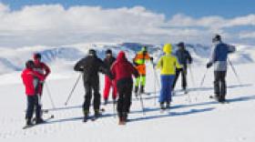 Skigloo tout schuss sur la toile