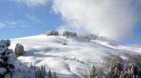 Savoie Mont-Blanc Tourisme - bref eco