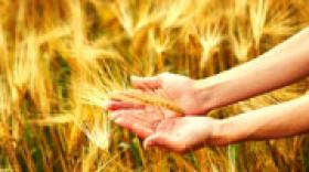 Thésame et l'Isara collaborent pour l'innovation dans l'agroalimentaire