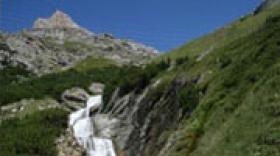 Un été mitigé pour les professionnels du tourisme