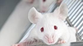 Transcure bioServices lève 698 000 euros