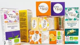 groupe Picourt - bref eco