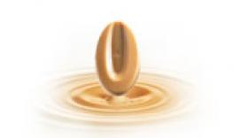 Valrhona lance un chocolat... blond !