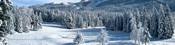 Le domaine skiable Villard-de-Lans/Corrençon-en-Vercors.