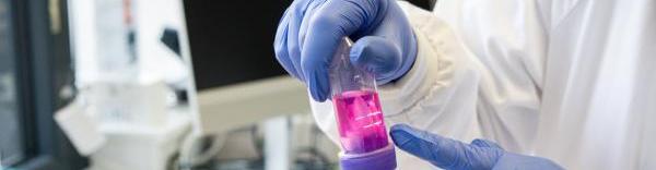 ErVimmune développe des vaccins antitumoraux de nouvelle génération.