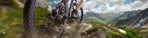 Le marché de la location du vélo est encore peu structuré.