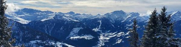 Domaines skiables de France souhaite mettre en place un partenariat entre stations de ski pour aider celles qui ont des difficultés à trouver des solutions pérennes.