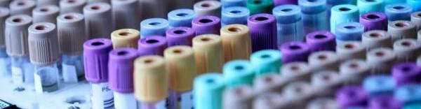 ABL Europe travaille sur plus de dix programmes de thérapie cellulaire et génique couvrant des domaines pathologiques, comprenant plus de six types de vecteurs différents.