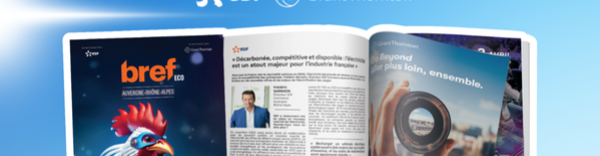 Le tome VI des "Champions Bref Eco de l'Industrie" vient de paraître.