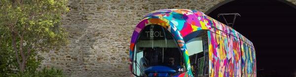 En cas de réalisation, le TEOL serait le projet le plus coûteux, en terme de transport en commun lyonnais, depuis la création du Métro D.