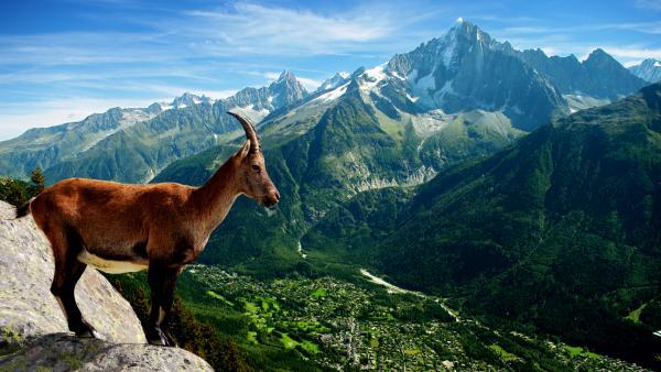 Les Pays de Savoie, destination prisée des groupes de touristes. 