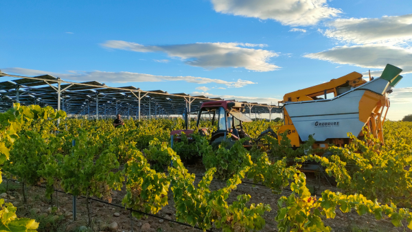 Sun’R accélère sur le photovoltaïsme et l’agrivoltaïsme