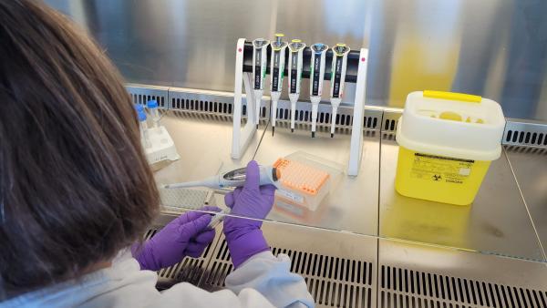 Ca remue chez Boehringer Ingelheim suite à l'annonce de la suppression de 150 postes