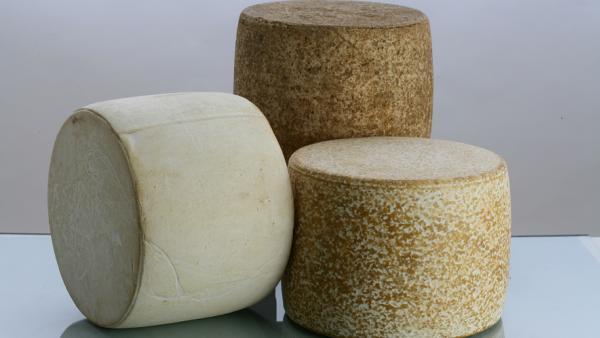 Cantal : une nouvelle gamme AOP pour reconquérir le marché