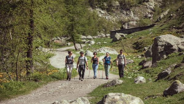 Depuis 2017, Whympr est devenue une référence pour les pratiquants d'activités outdooor.