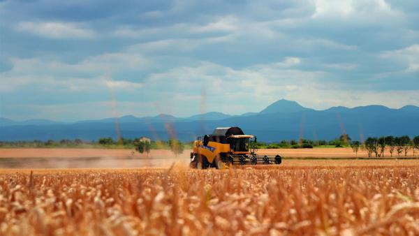 Limagrain muscle son comité de direction avec trois nominations stratégiques