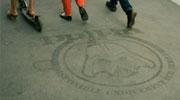Bref + 2121 : Biodegrad : l’entrepreneuriat investit l’université