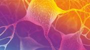 Projet bioXclusters : signature de deux accords de coopération en Chine 