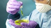 Valneva s'associe au britannique BliNK Therapeutics pour créer une nouvelle société