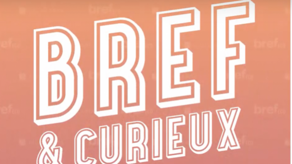 bref & curieux