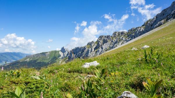 Le Vercors prêt à déposer un nouveau projet immobilier "pour sauver le tourisme"