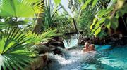 EELV s'oppose (toujours) au Center Parcs de Roybon