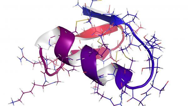 La chlorotoxine du Scorpion