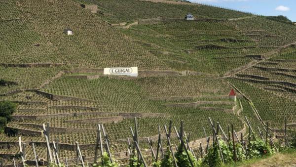 Les vignes en terrasse de la Côte-Rôtie pourraient peut-être un jour figurer sur la liste du patrimoine mondial de l'Unesco.