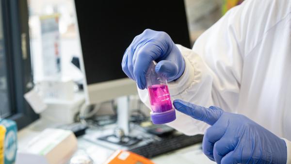 ErVimmune développe des vaccins antitumoraux de nouvelle génération.