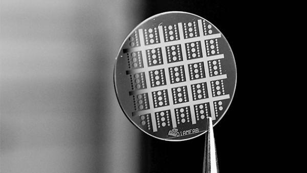 Diamfab et Delphea veulent devenir leaders