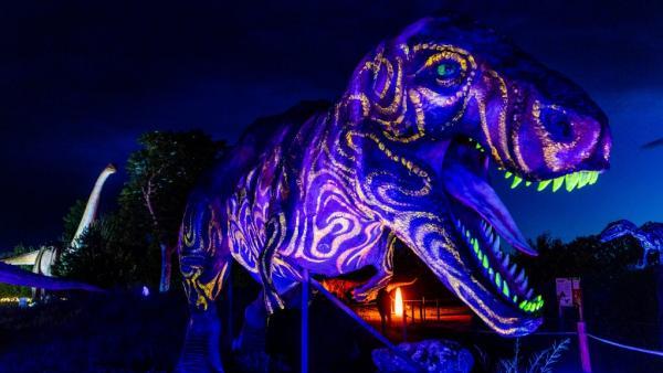Un T.rex en animatronics animé grandeur nature la gueule ouverte de nuit avec des lumières phosphorescente, dans le parc en extérieur. Au second plan un immense dinosaure au long cou.