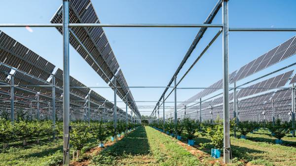 CNR choisit Sun’Agri pour piloter ses projets d’agrivoltaïsme