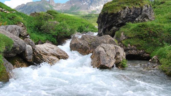 Relance : nouvel appel à projets lancé par l'Agence de l’eau Rhône Méditerranée Corse