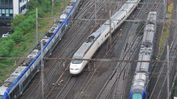 Entre les trains à grande vitesse et les TER, Railcoop devra jouer des coudes à Lyon Part Dieu.
