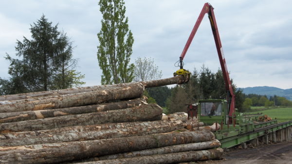 Investissement record pour la scierie ELP Bois