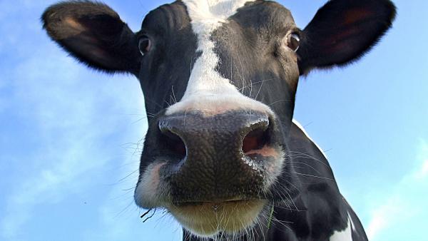 L'agriculture régionale en force à Paris