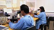 genOway se renforce encore sur le marché des protéines thérapeutiques 