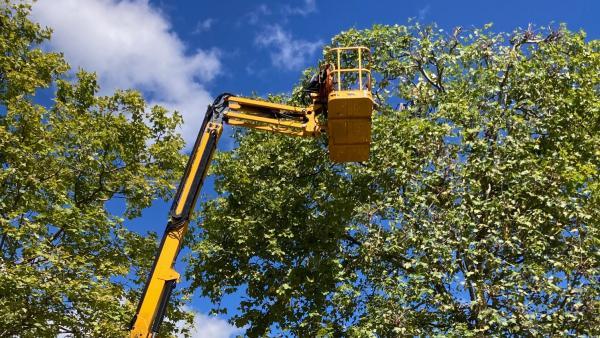 L’activité d’Haulotte à nouveau en forte hausse 