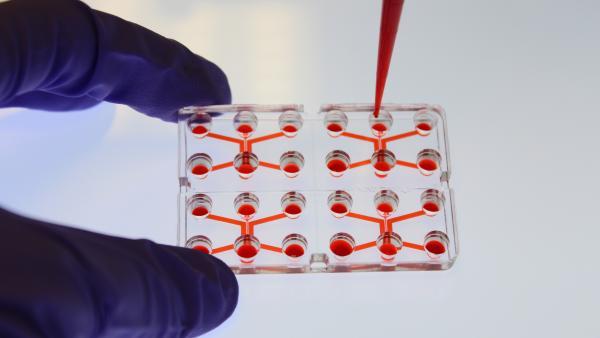 Netri ambitionne de devenir le numéro un mondial des organes-sur-puces d'ici 2030