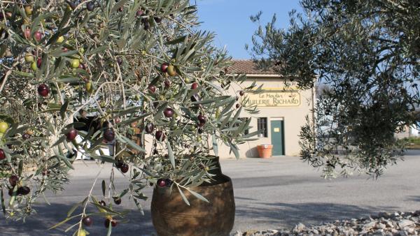 SERIE D'ETE #6 - Le goût de l’artisanat se visite à l’Huilerie Richard 