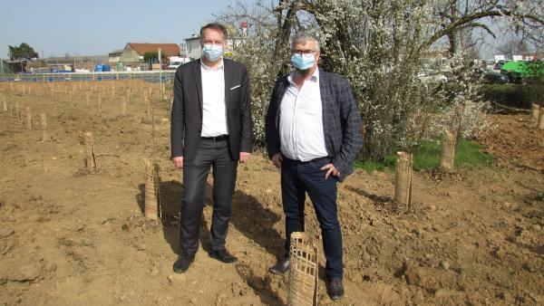 Première forêt urbaine à Saint-Priest