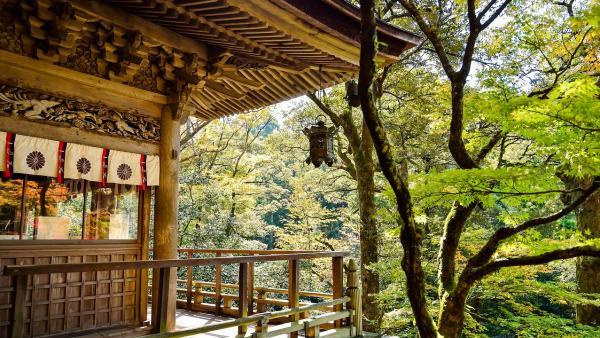 Havas Voyages, l’une des filiales de Marietton Développement, rachète une agence spécialisée sur le Japon.