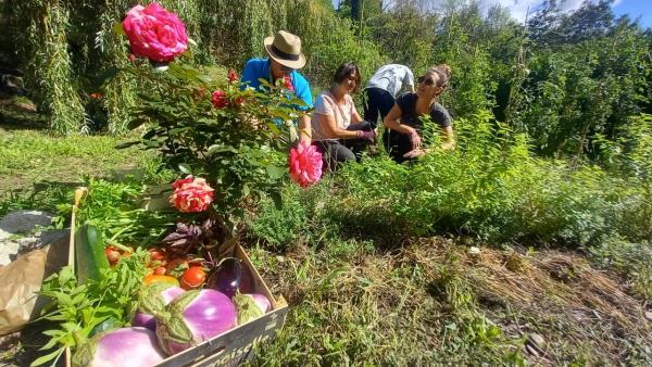 Gaïa Lyon : des jardins solidaires pour une meilleure inclusion