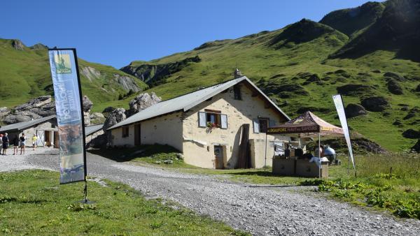 Les 420 vaches du groupement produisent 550 000 litres de lait pendant l’été